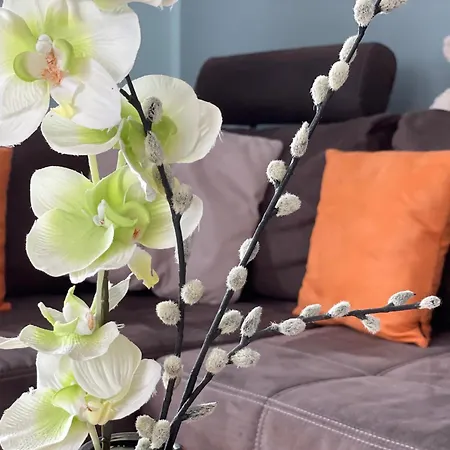 Nyaraló Sweethome - Mit Garten Bad Sachsa