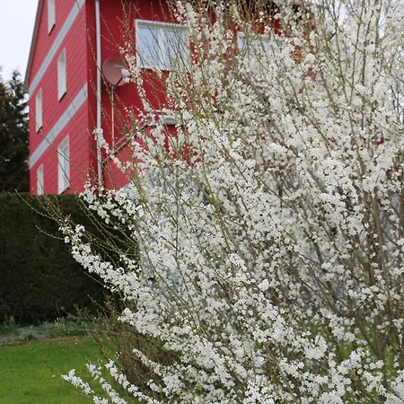 Sweethome - Mit Garten * Bad Sachsa